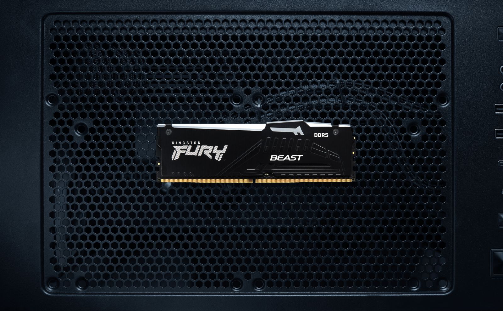 Kingston FURY Beast KF556C36BBEAK2-32 32 GB (2x16 GB) DDR5 5600 MT/s CL36 RGB DIMM, EXPO 1.0 & Intel XMP 3.0, 1.25 V