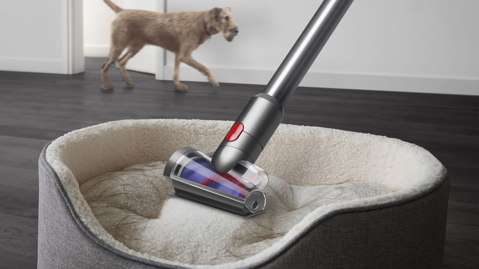 Dyson V12 Detect Slim Absolute Stabstaubsauger 2-in-1 Akku 29,4 V 60 Min Laufzeit Beutellos 0,35 l 545 W Nickel/Gelb