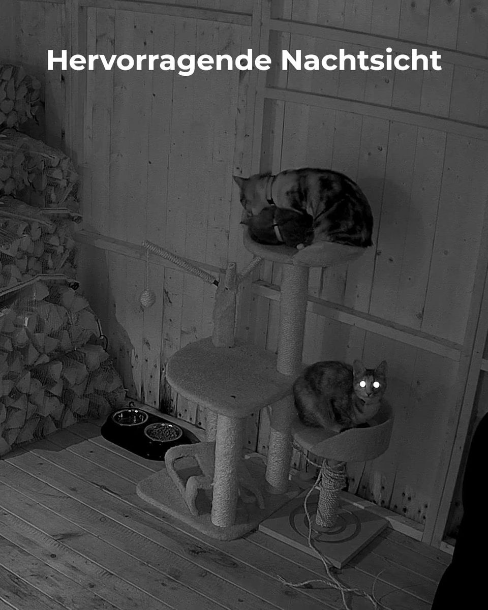 Reolink WLAN Überwachungskamera Innen 4MP, Schwenkbare IP-Kamera Indoor mit Auto-Tracking, Personen-/Haustiererkennung, 2,4/5GHz WiFi, 2-Wege-Audio, IR-Nachtsicht, SD-Kartenslot, E1 Pro Schwarz