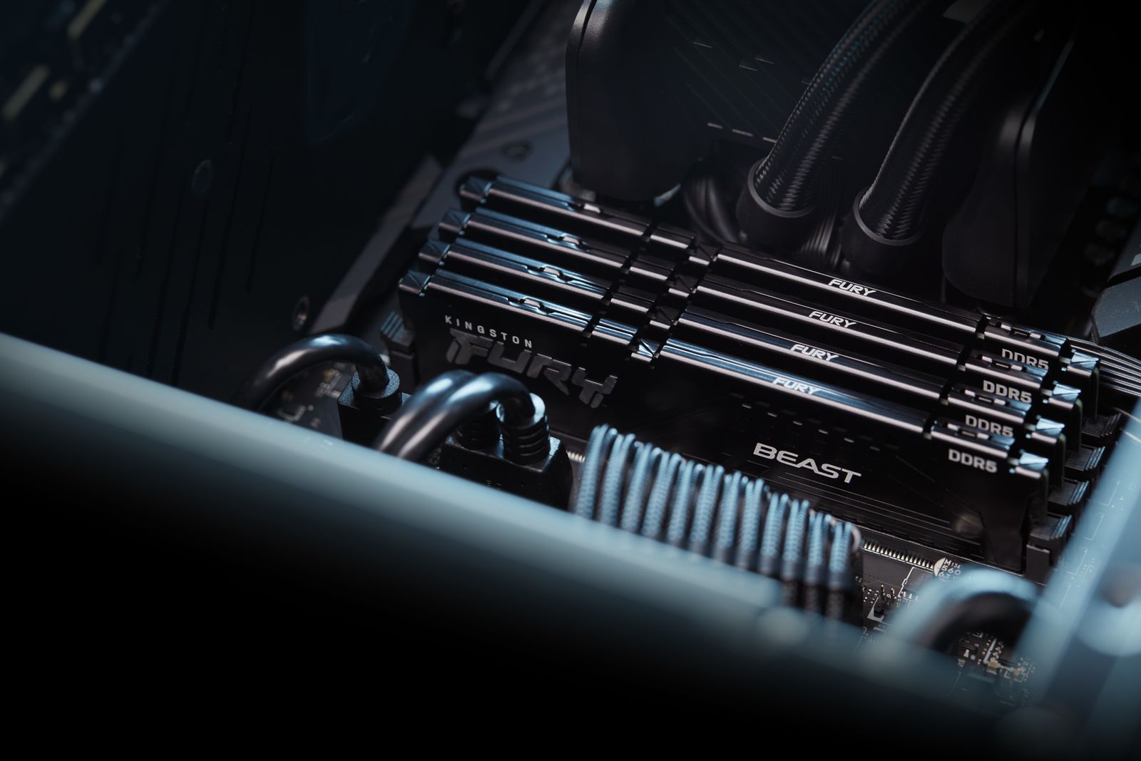 Kingston FURY Beast KF560C36BBEK2-16 16GB (2x8GB) DDR5 6000 MT/s CL36 DIMM, Black, EXPO