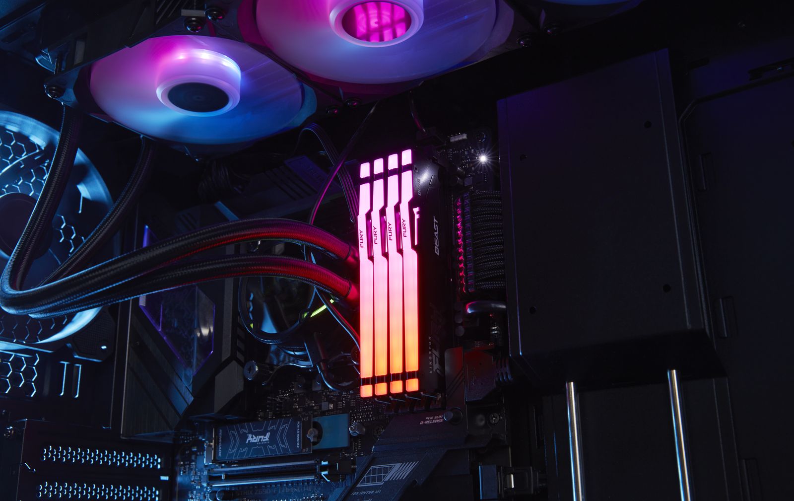 Kingston KF560C36BBEAK2-64 FURY Beast 64 GB (2x32) DDR5 6000 MT/s CL36 DIMM RGB EXPO