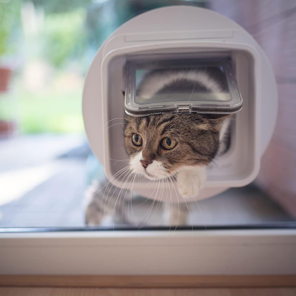 Rollei 40510 Wireless Security Cam 1080p Überwachungskamera, Akku, WLAN, Full HD, Nachtsicht, Bewegungsmelder, 2-Wege-Audio, App-Steuerung, IP64, magnetische Halterung