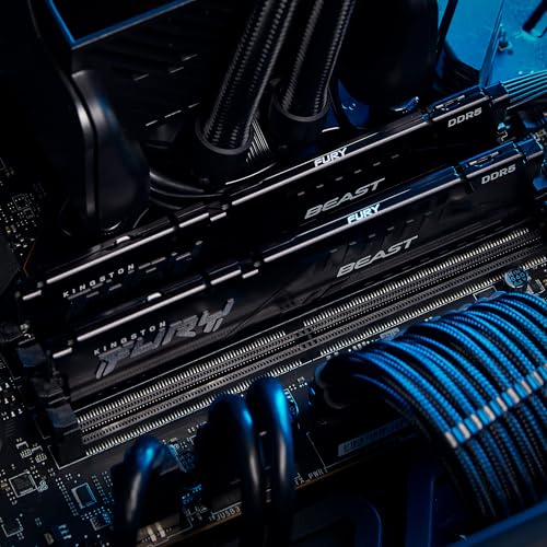 Kingston KF560C36BBE-32 FURY Beast Schwarz DDR5 32GB 6000MT/s CL36 DIMM Desktop Gaming Arbeitsspeicher, Intel XMP 3.0 & AMD EXPO