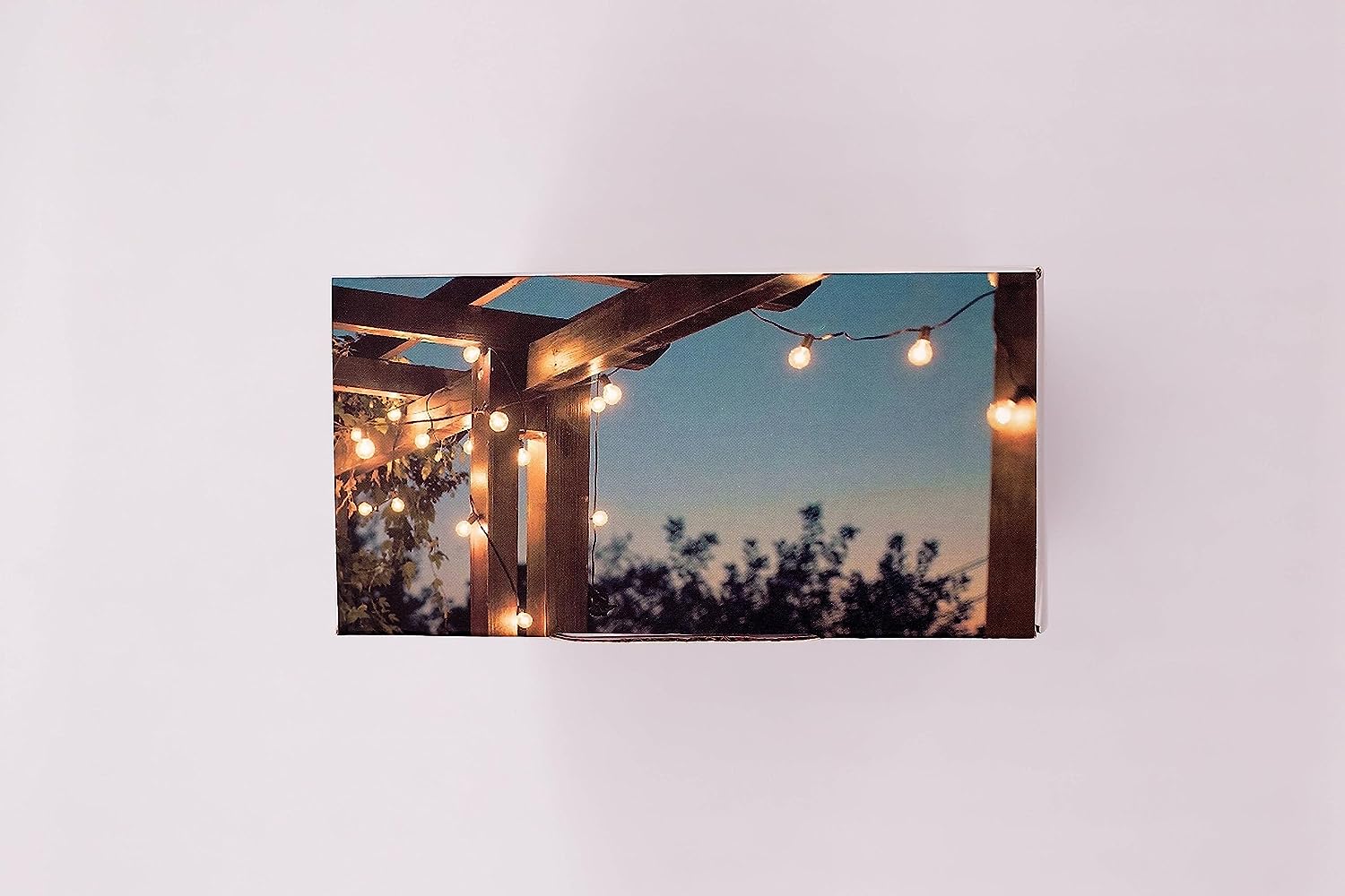 Meross WLAN Outdoor Steckdose funktioniert mit Apple HomeKit, Smart Außensteckdose Wasserdicht IP44, WiFi Garten Doppelsteckdose, kompatibel mit Siri, Alexa, Google Assistant, nur 2,4 GHz 10 A Outdoor Steckdose