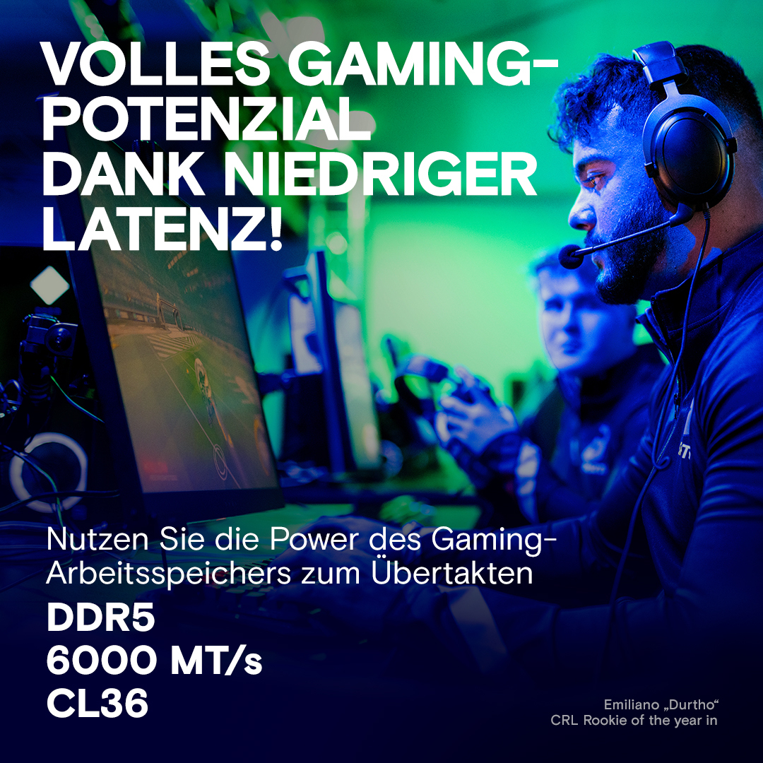 Crucial CP2K16G60C36U5W Pro DDR5 Arbeitsspeicher 32 GB (2 x 16 GB) 6000 MHz CL36 1,35 V XMP 3.0 EXPO