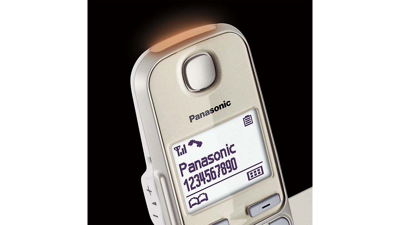 Panasonic KX-TGE250GN Schnurlostelefon (Bis zu 1.000 Telefonnummern sperren, übersichtliche Schriftgröße mit starkem Kontrast , extra lauter Hörer, Voll-Duplex Freisprechen) 1 Schnurlostelefon Single