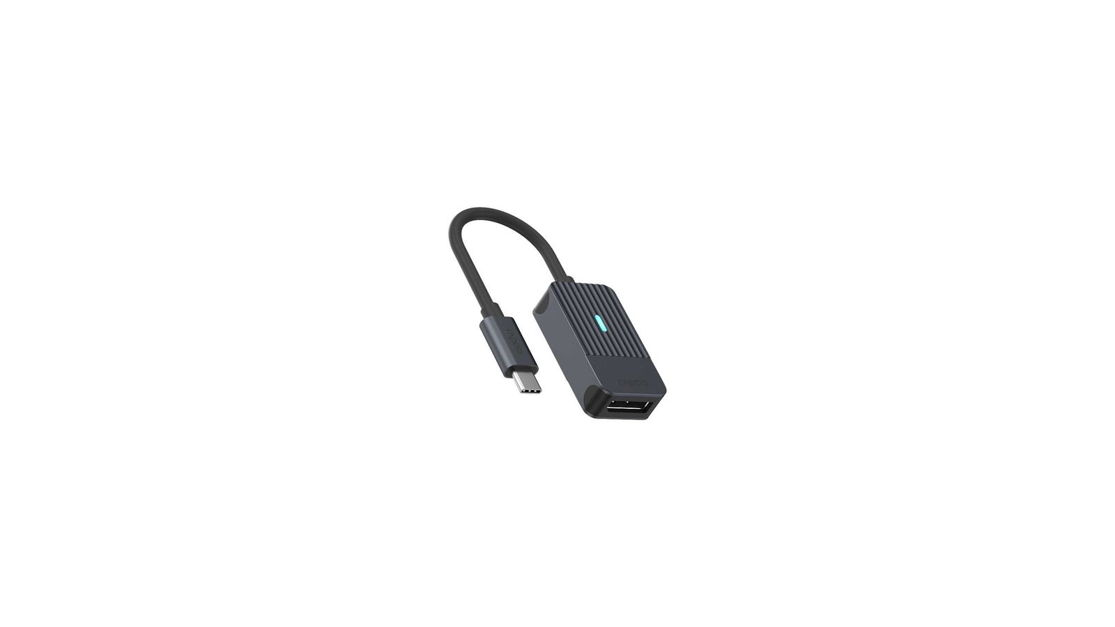 Rapoo UCA-1005 0,15 m USB Typ-C DisplayPort Schwarz