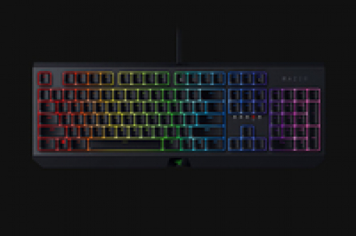 Razer BlackWidow Gaming Keyboard Green Switches Chroma RGB FR-Layout