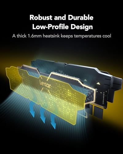 Lexar LD5U16G60C38LG-RGD DDR5 32GB Kit (2x16GB) 6000 MHz CL38 UDIMM 288-Pin Desktop RAM, Low-Profile 40 mm, On-Die ECC, Intel XMP 3.0/AMD EXPO, 1.25V