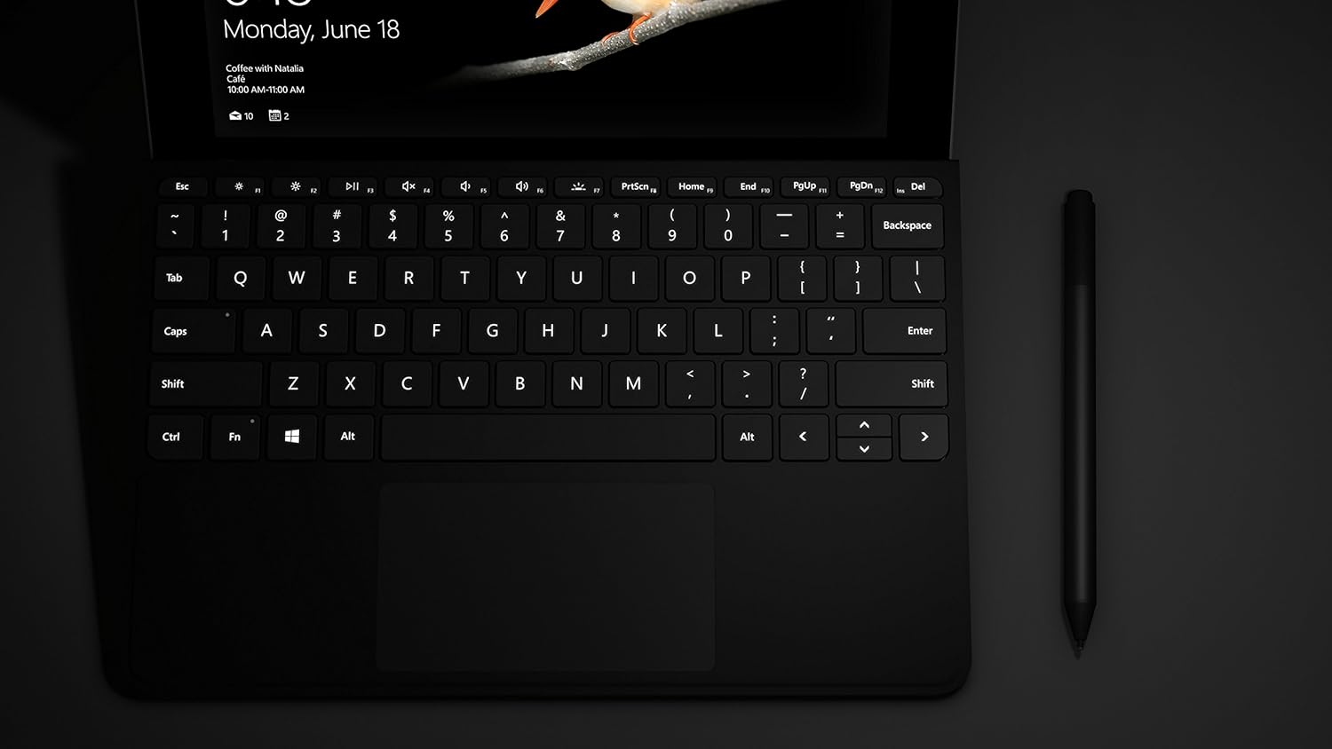 Microsoft Surface Go Type Cover (fu00fcr Surface Go 1-4) Schwarz - (UK Layout - QWERTY)