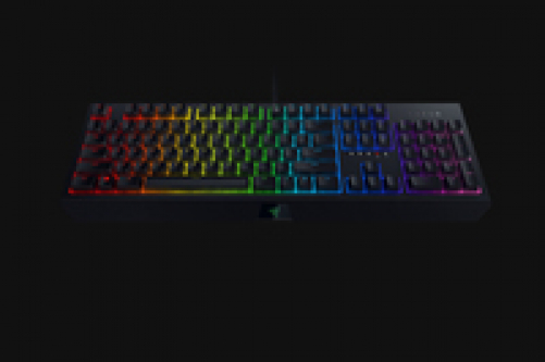 Razer BlackWidow Gaming Keyboard Green Switches Chroma RGB FRA Layout AZERTY
