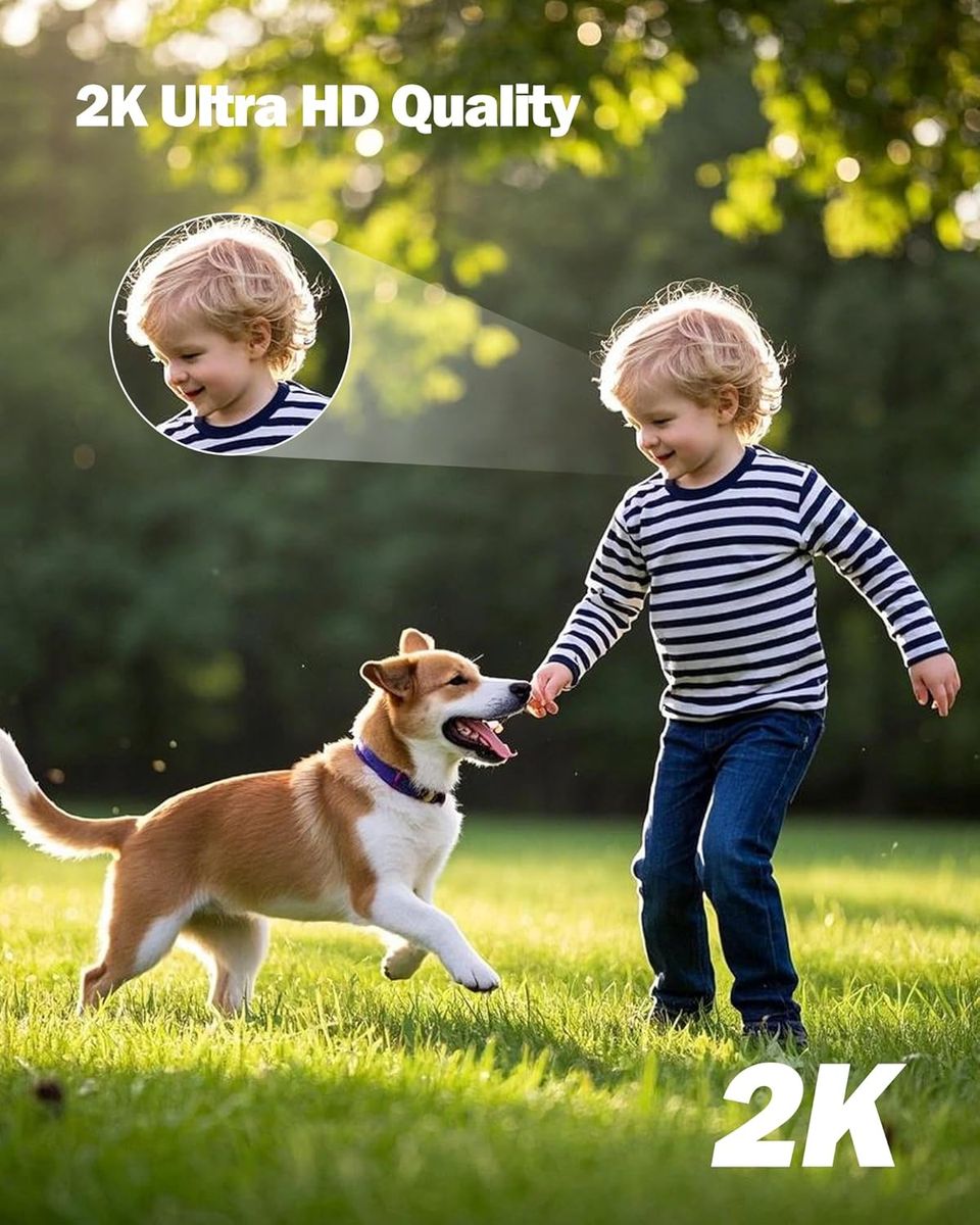 TOAIOHO QB321-B2-3MP 2er Außen-Überwachungskamera, WLAN PTZ, 3MP (1296p), Nachtsicht, IP66, Bewegungserkennung, SD/Cloud, EU