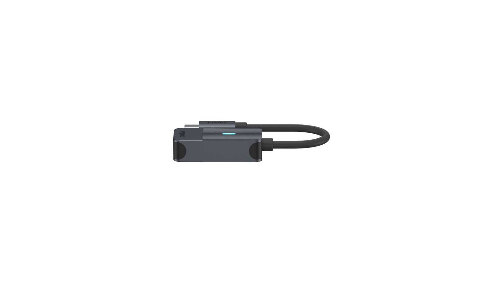 Rapoo UCA-1005 0,15 m USB Typ-C DisplayPort Schwarz