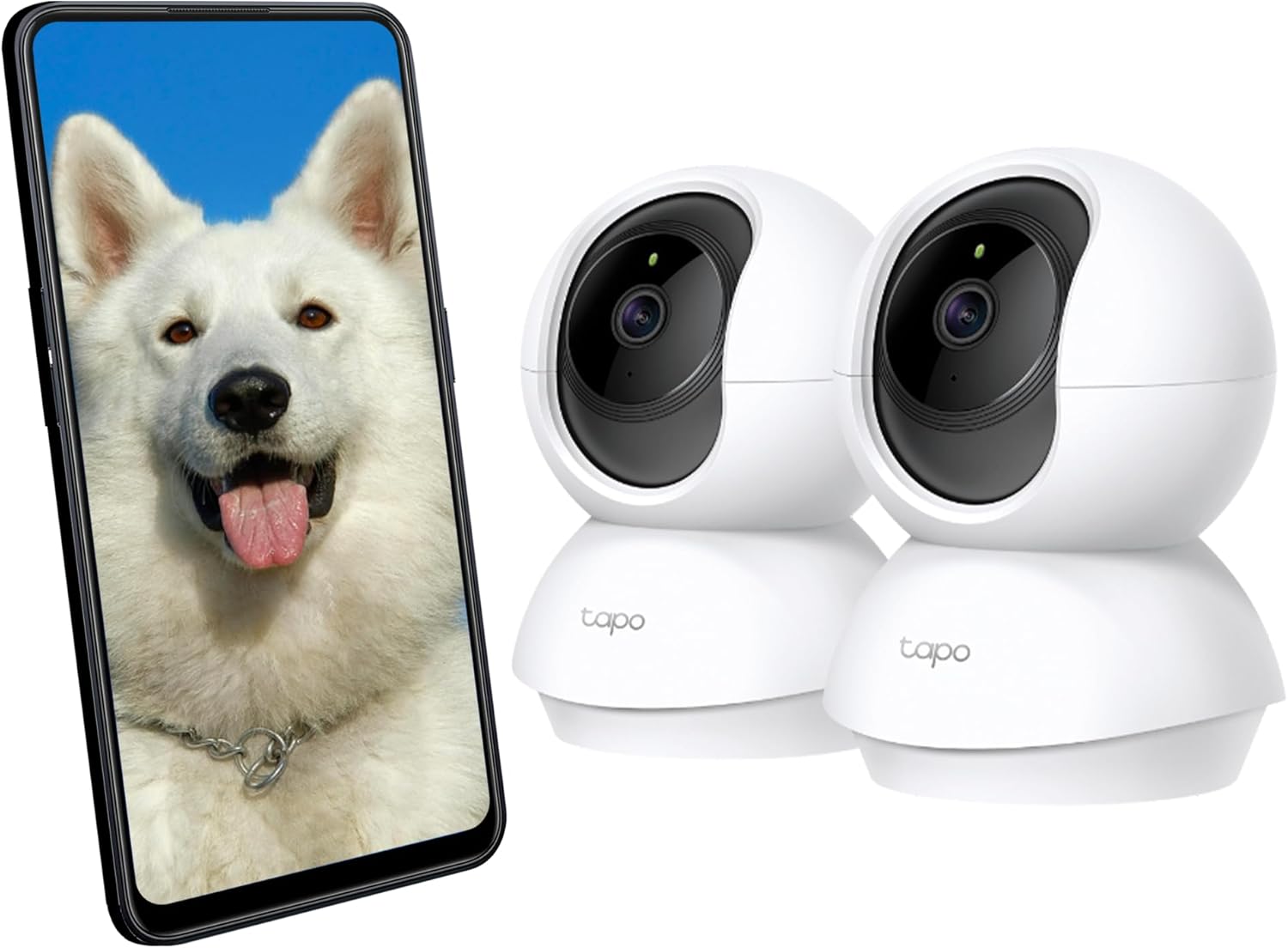 TP-Link Tapo C200P2 Sphärisch IP-Sicherheitskamera Drinnen 1920 x 1080 Pixel Tisch/Bank