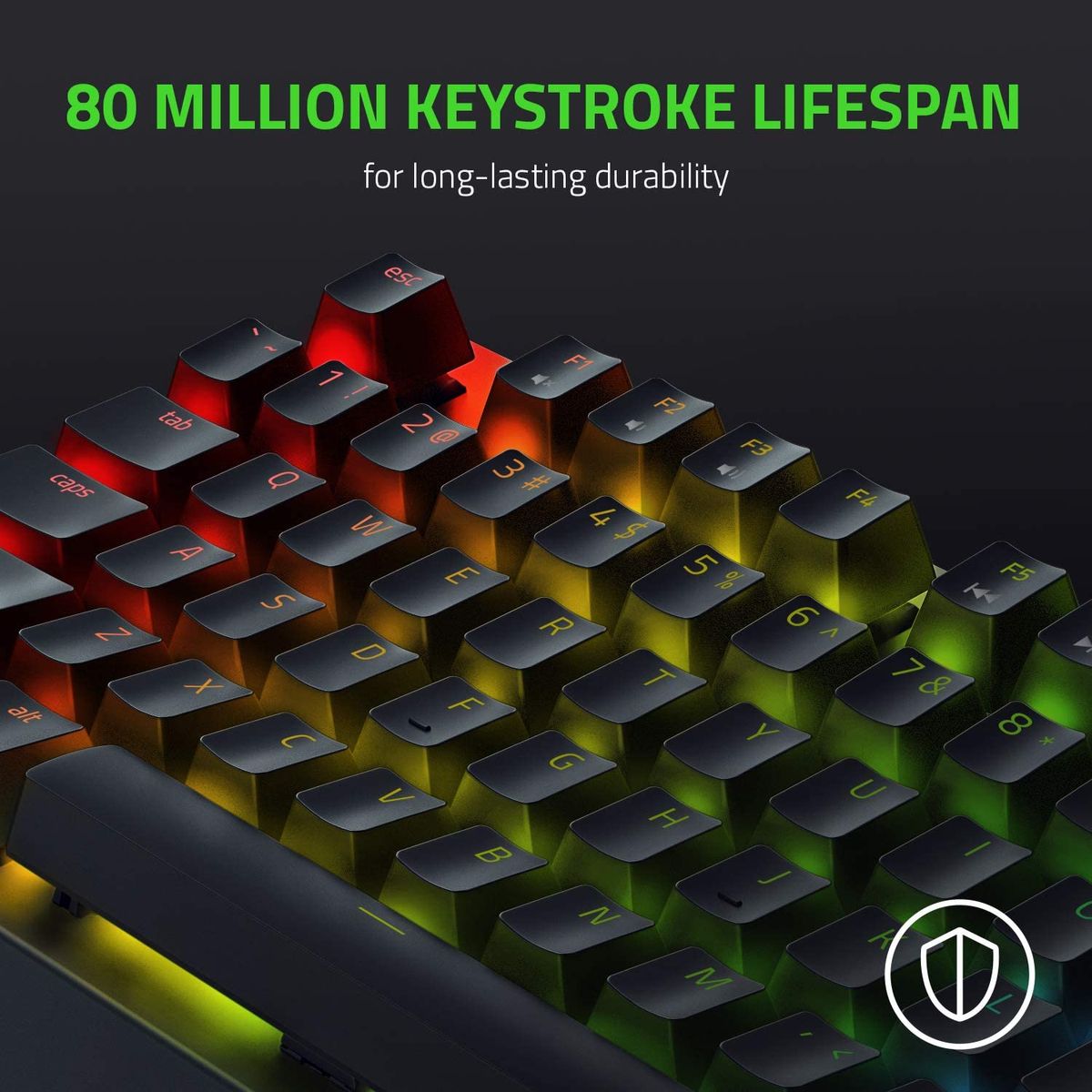 Razer BlackWidow V3 TKL Gaming Keyboard Green Switches Chroma RGB FRA Layout AZERTY