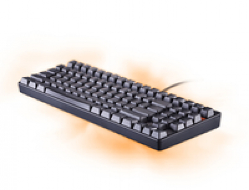 Rapoo V500 Puristische Mechanische Gaming Tastatur Wired DE-Layout